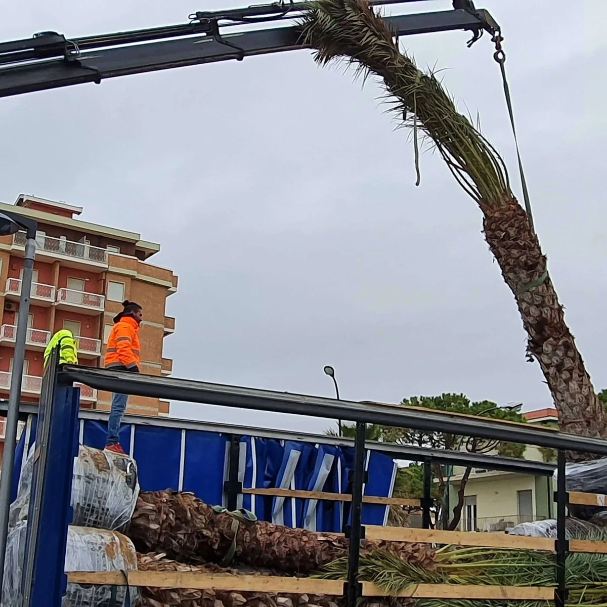 Trasporti e noleggio mezzi Abruzzoservizi